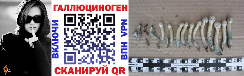 Галлюциногенные грибы мицелий  цена   Славянск-на-Кубани 