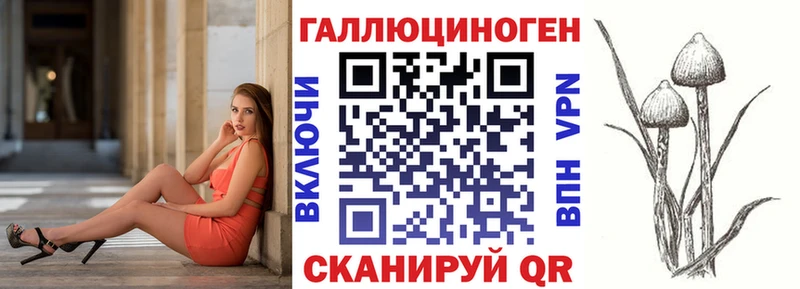 Псилоцибиновые грибы Psilocybine cubensis Славянск-на-Кубани